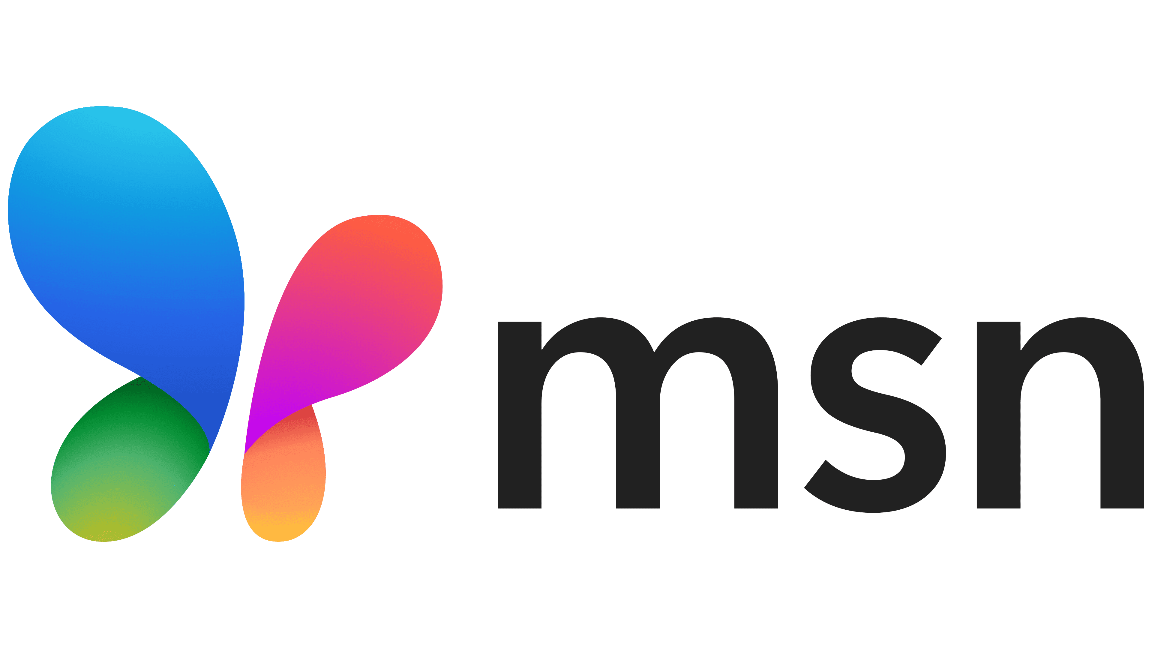 MSN Logo